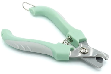 Péče o drápky pro psy